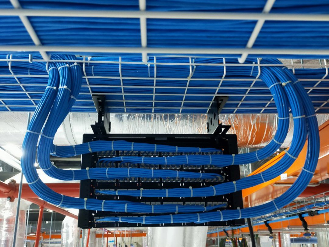 IMG-20251120-WA00201